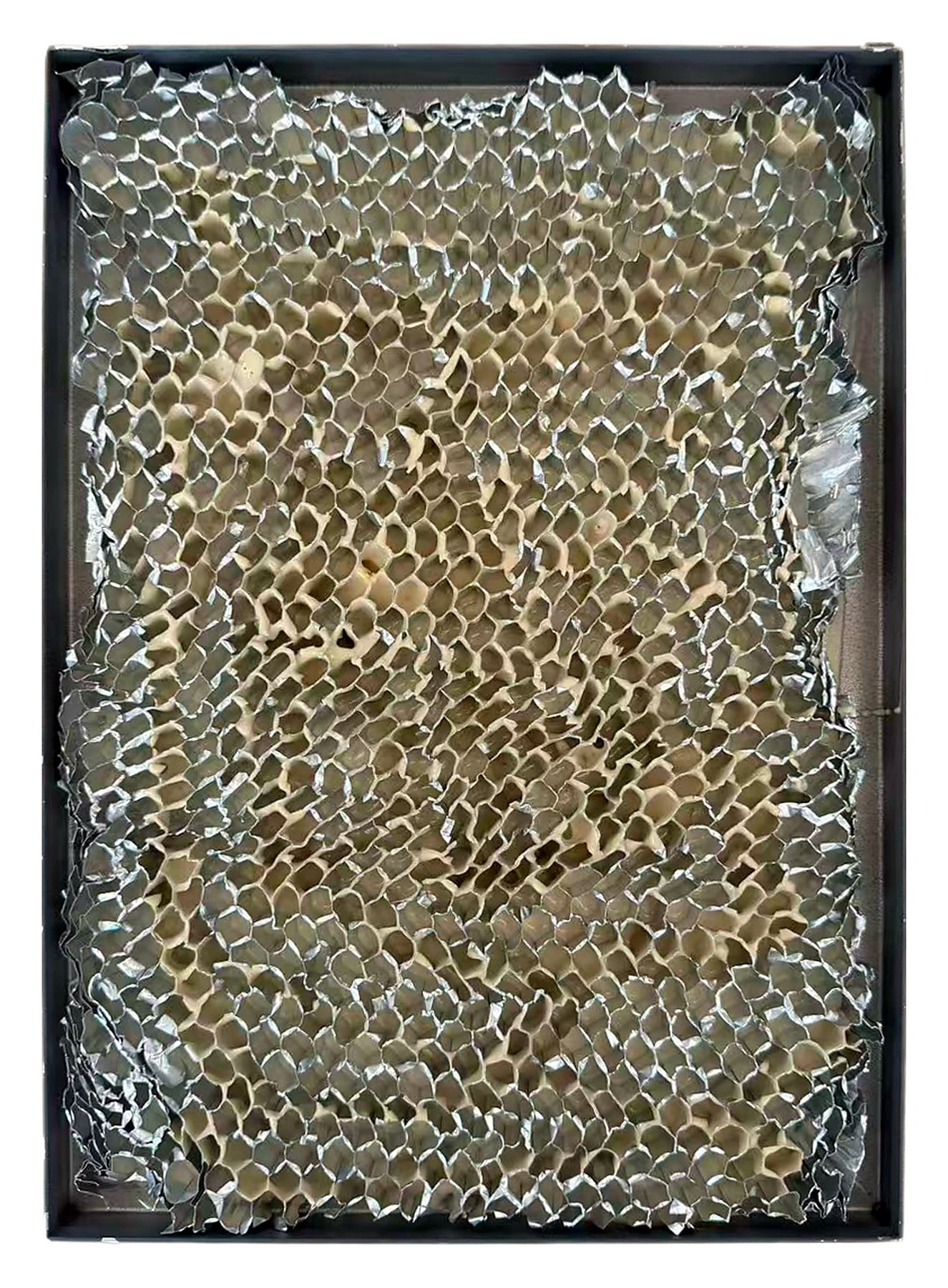 Common honeycomb aluminum panel cross-section sample